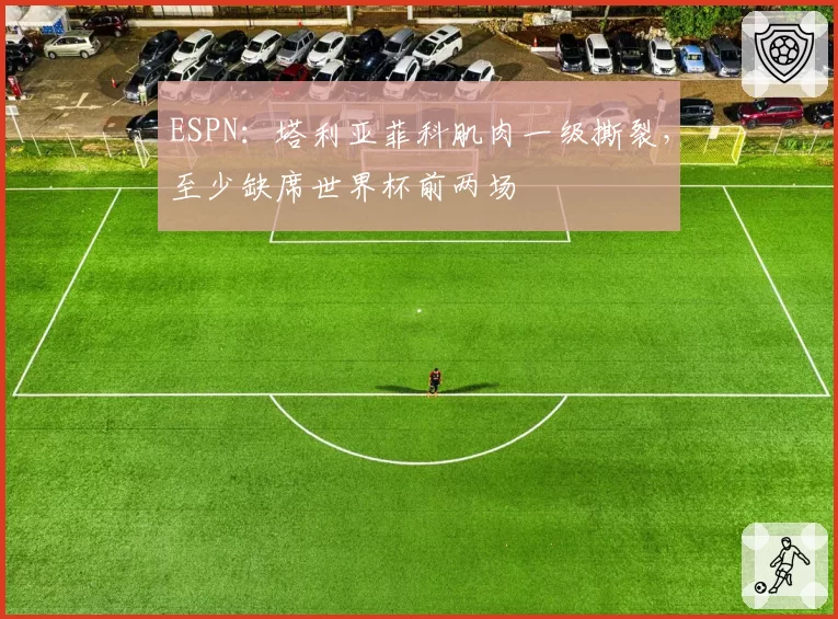 ESPN：塔利亚菲科肌肉一级撕裂，至少缺席世界杯前两场