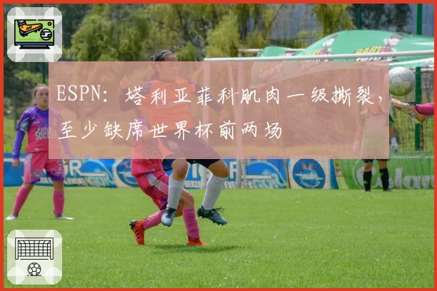 ESPN:塔利亚菲科肌肉一级撕裂,至少缺席世界杯前两场
